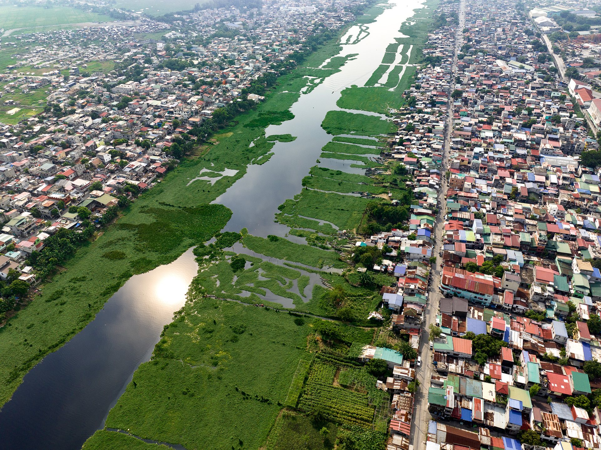 Aerial view of the Manggahan Floodway in Manila, choked with water lilies, dividing densely populated urban neighborhoods on either side.
