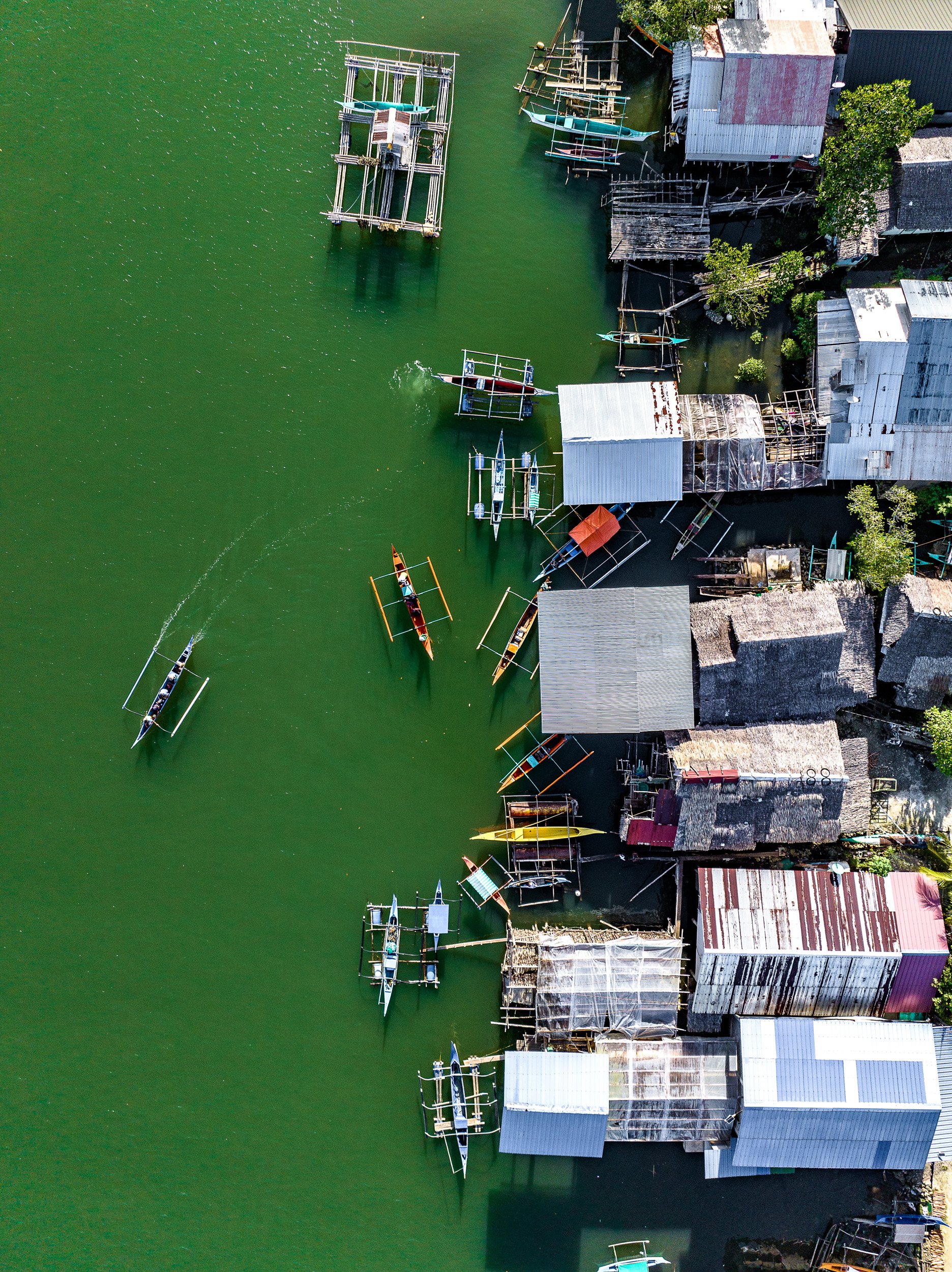 Stilt homes over green water where seaweed farmers work, showing rural livelihoods in the Philippines.