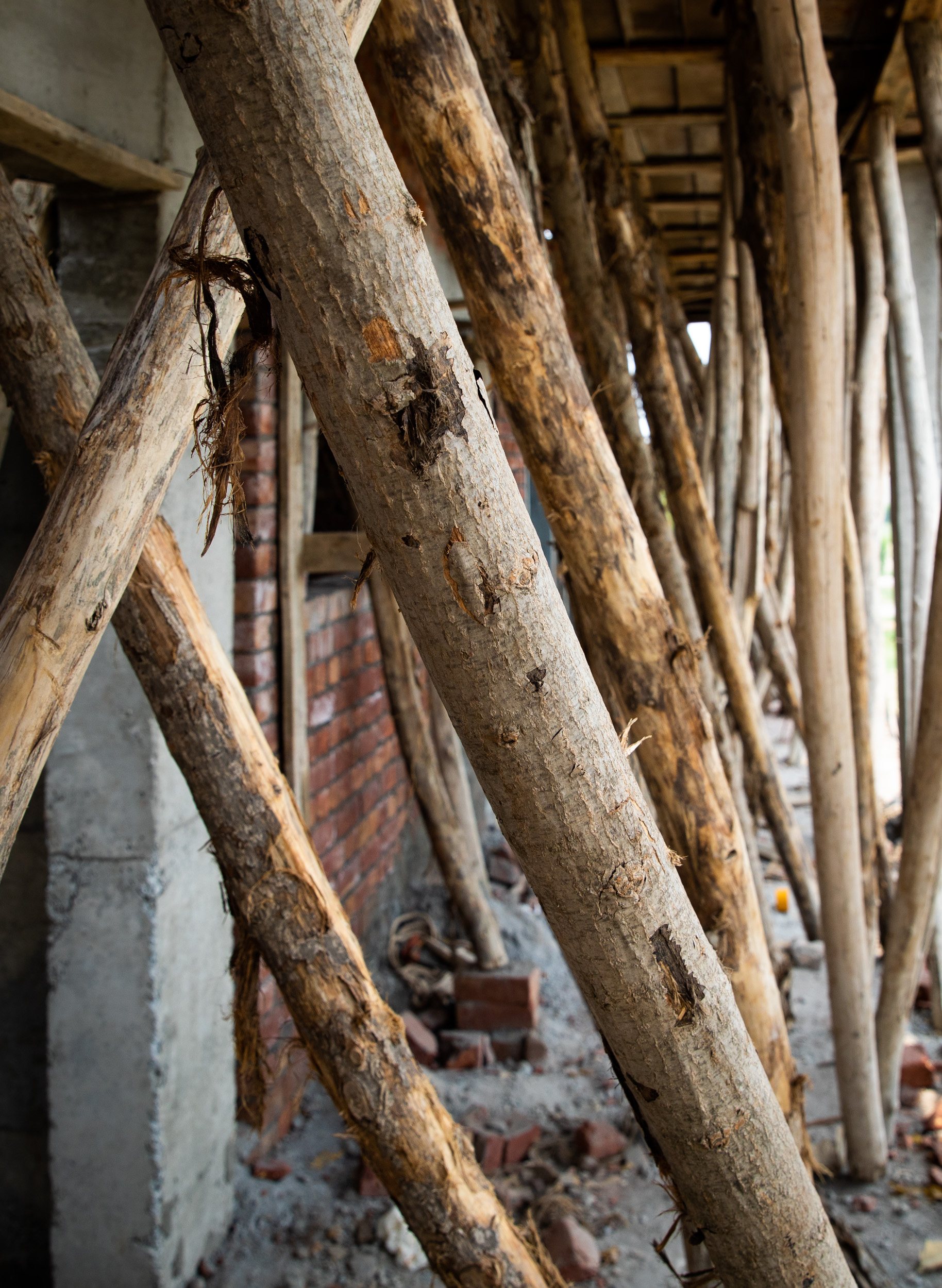 Wooden beams holding up a concrete ceiling at a construction site.